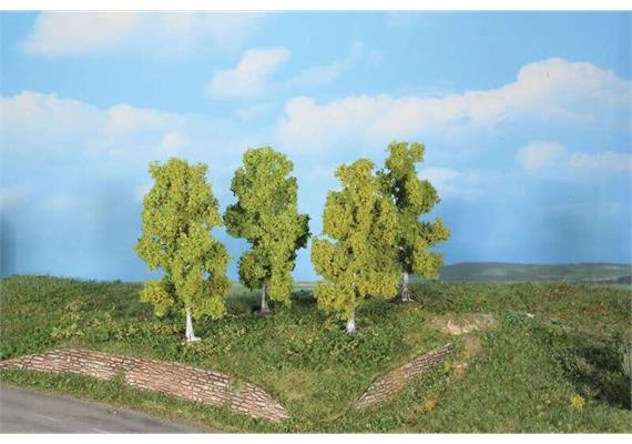 HEKI 19120 4 Birken, 11 cm