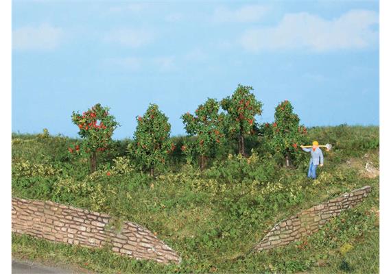 HEKI 19131 5 Apfelbäume, 3 cm