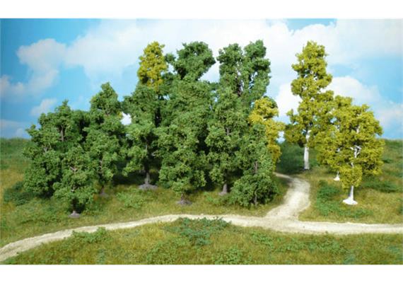 Heki 1951 14 Laubbäume, 5 - 12 cm