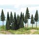 HEKI 2263 Tannenwald, 20 Tannen 7 - 14 cm - H0 (1:87)