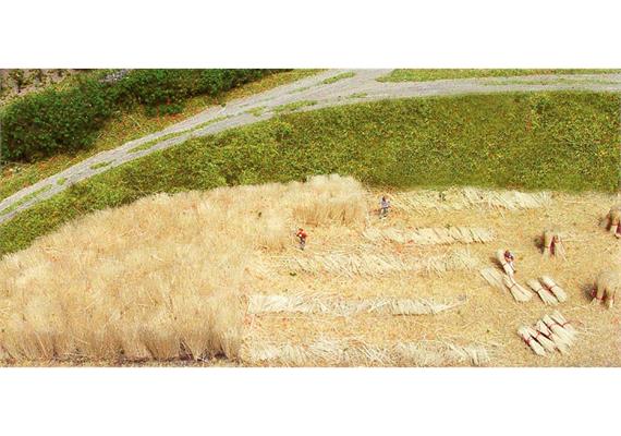 Heki 3115 Schilf gebündelt, 50 g | Bild 1