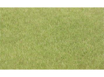 HEKI 33541 Steppengras hell, 75 g, 5 - 6 mm
