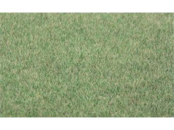 HEKI 33542 Steppengras dunkel, 75 g, 5 - 6 mm