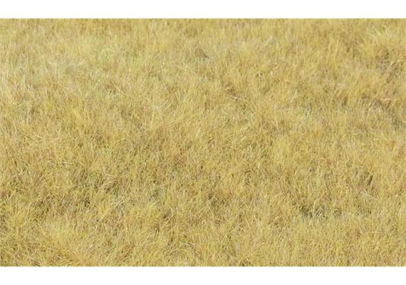 HEKI 33543 Grasfaser Willdgras Heuwiese, 75 g