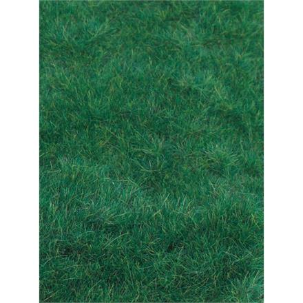 Heki 3369 Wildgras dunkelgrün, 75 g