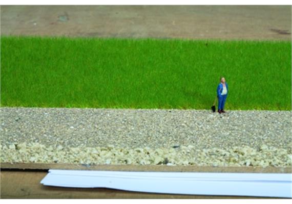 NOCH 07073 Master-Grasmischung “Kuhweide”, 50 g