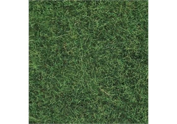 NOCH 07102 Wildgras, hellgrün, 50 g