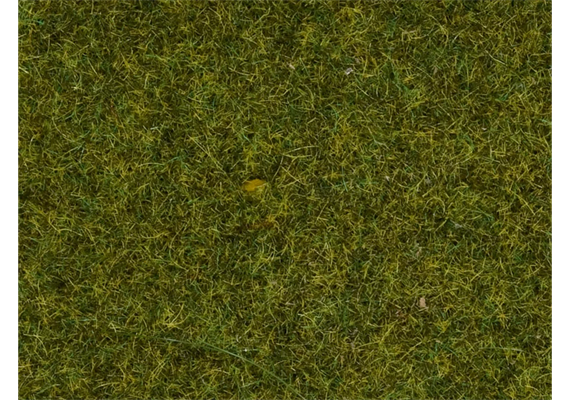 NOCH 07117 Wildgras "Wiese", 50 g | Bild 2