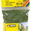 NOCH 07144 Laub mittelgrün, 50 g Beutel | Bild 1