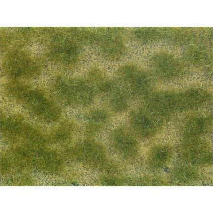Noch 07253 Bodendecker-Foliage grün/beige, 12 x 18 cm - H0, TT, N, Z, 0, 1, G, H0m, H0e