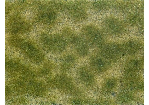 Noch 07253 Bodendecker-Foliage grün/beige, 12 x 18 cm - H0, TT, N, Z, 0, 1, G, H0m, H0e | Bild 1