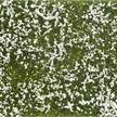 Noch 07256 Bodendecker-Foliage Wiese weiß, 12 x 18 cm - H0, TT, N, Z, 0, 1, G, H0m, H0e | Bild 1