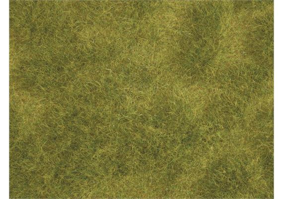 Noch 07470 Natur+ Saftige Wiese 25 x 25 cm | Bild 4