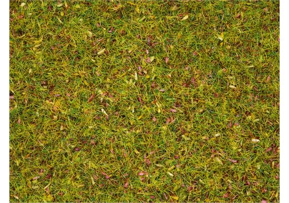 NOCH 08330 Streugras “Blumenwiese”, 20 g | Bild 2