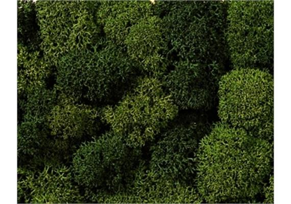 Noch 08610 Dekormoos hell- und dunkelgrün, sortiert, 35 g