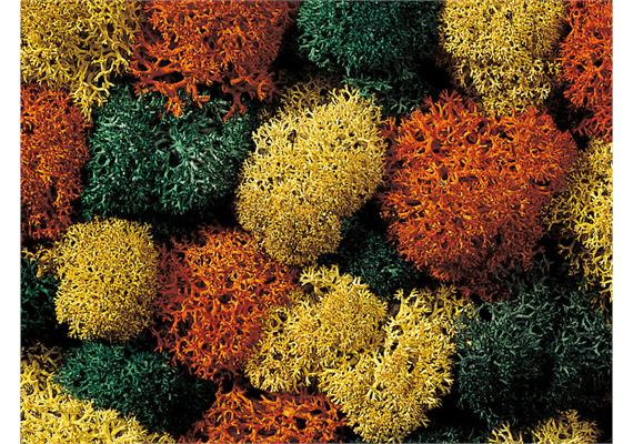 NOCH 08620 Dekormoos herbstlich sortiert, 75 g | Bild 2