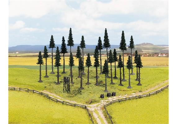 NOCH 10 Hochstammtannen 130 - 180 mm