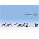 Noch 12852 Sound-Szene Hunde - H0 1:87