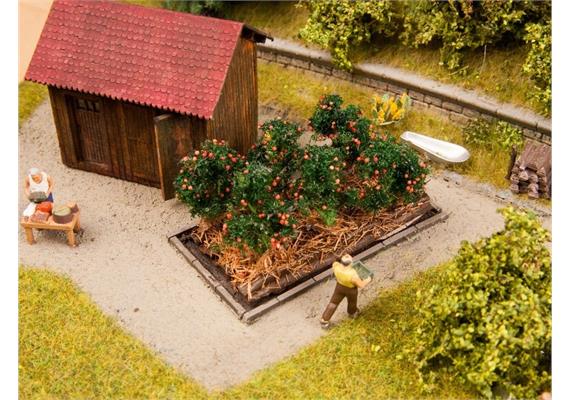 NOCH 13215 Tomatenstauden | Bild 1