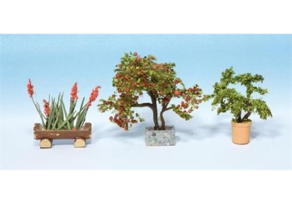 Noch 14020 Zierpflanzen in Blumenkübeln - H0 (1:87)