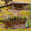 NOCH 14052 Wasser- und Uferpflanzen - H0 (1:87) | Bild 2