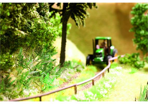 Noch 14100 Laser-Cut minis "Farn", 9 Pflanzen - H0 (1:87) | Bild 1