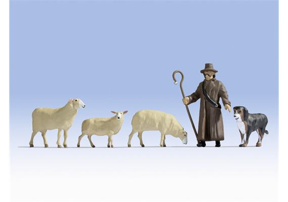 Noch 17901 Spur 0 Schafe und Schäfer