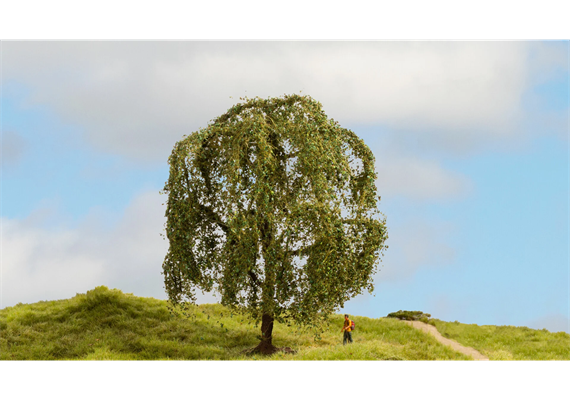 Noch 20115 Trauerweide, 15 cm hoch | Bild 1