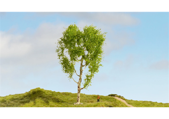 Noch 20125 Moorbirke, 21 cm hoch | Bild 1