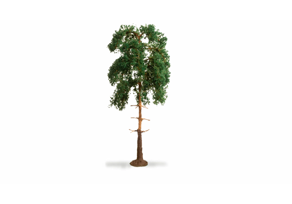 Noch 20141 Kiefer, 18 cm hoch | Bild 2