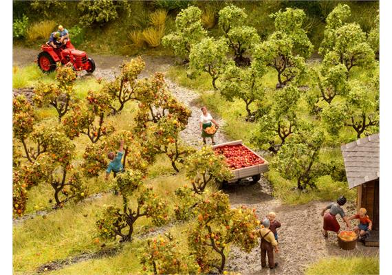 Noch 21530 Plantagenbäume | Bild 2