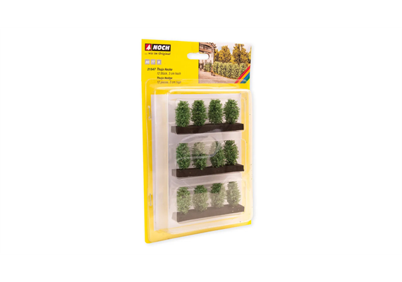 Noch 21547 Thuja-Hecke | Bild 3