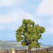 Noch 21550 Obstbaum, grün | Bild 1