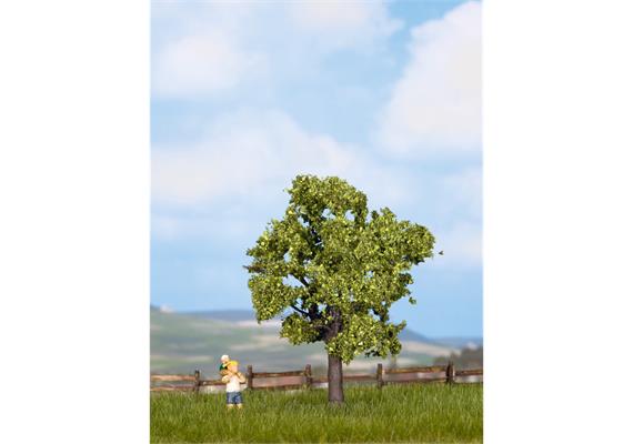 Noch 21550 Obstbaum, grün | Bild 1