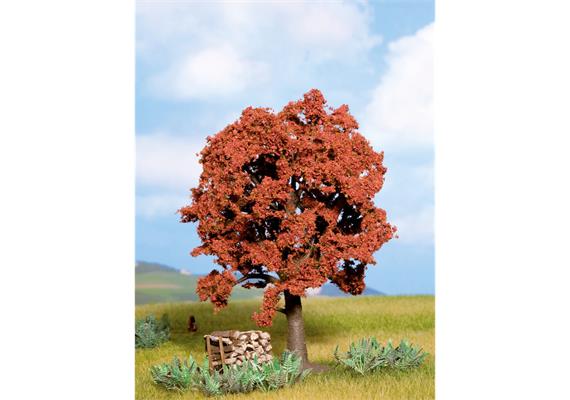 Noch 21730 Rotbuche, 13 cm hoch | Bild 1