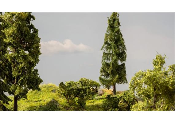 Noch 21775 fallender Baum "Wetterfichte" 17 cm - H0 (1:87) | Bild 3