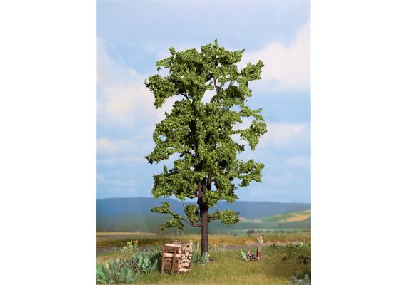 Noch 21780 "Linde" 18.5 cm | Bild 1