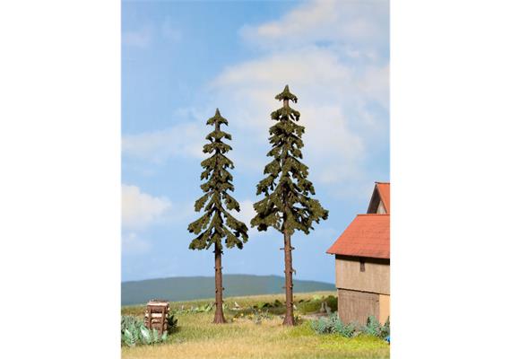 NOCH 21925 2 Hochstammfichten 12,5 und 14 cm hoch | Bild 1