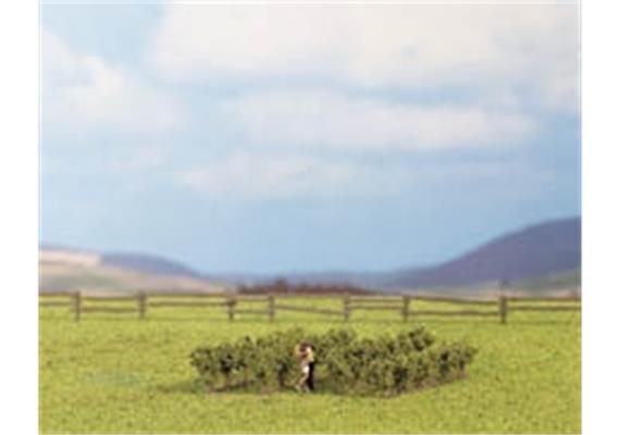 NOCH 24 Rebstöcke 1,4 cm hoch N/Z