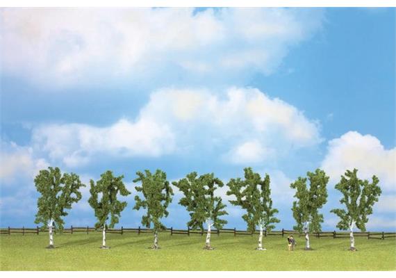 Noch 25096 Birken 10 cm - H0 (1:87)