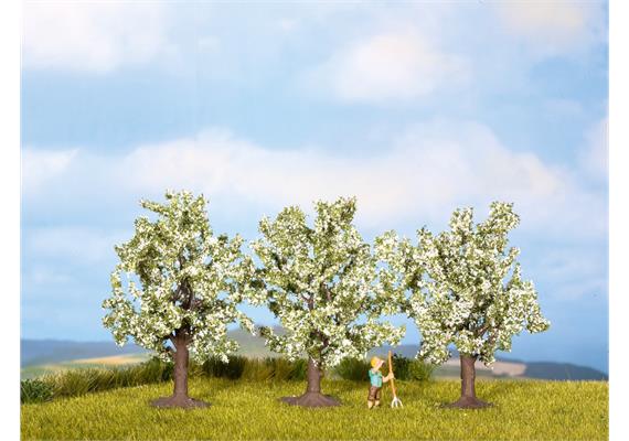 Noch 25111 Obstbäume weiss blühend - H0 (1:87) | Bild 1