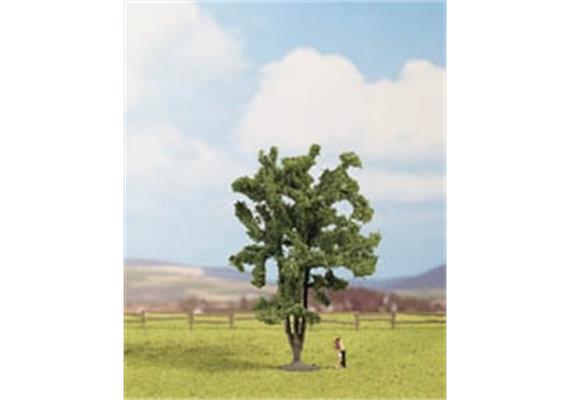 NOCH 25850 Akazie 15 cm