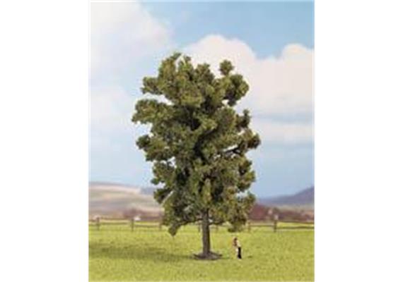 Noch 25880 Linde 19 cm - H0 (1:87)