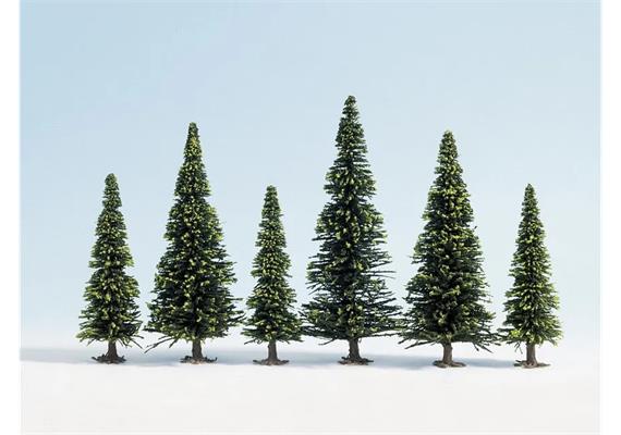 Noch 26419 Modellfichten, 10 Stück, 6 - 15 cm - H0 (1:87) | Bild 2