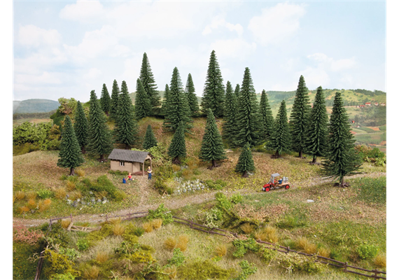 Noch 26920 Modelltannen 10 Stück, 5 - 14 cm hoch | Bild 2