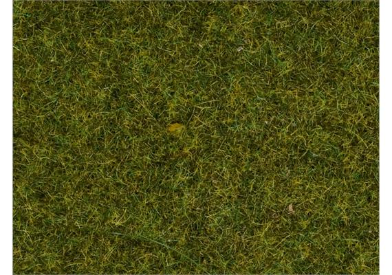 NOCH 50220 Streugras “Wiese”, 100 g | Bild 2