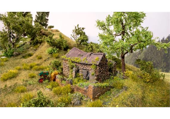 Noch 60761 Vergessener Ort - Gebäuderuine - H0 (1:87) | Bild 1