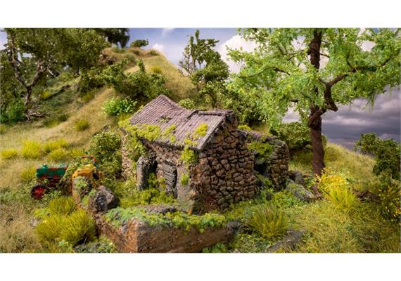 Noch 60761 Vergessener Ort - Gebäuderuine - H0 (1:87) | Bild 2