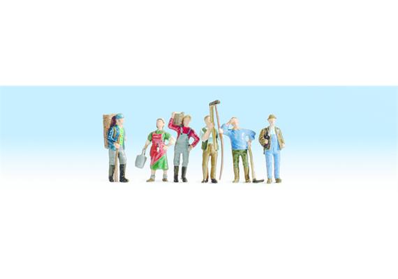 Noch 66712 Weingut Hauser-Bühler LaserCut, HO | Bild 4