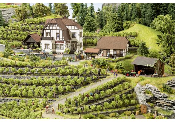 Noch 66712 Weingut Hauser-Bühler LaserCut, HO | Bild 1